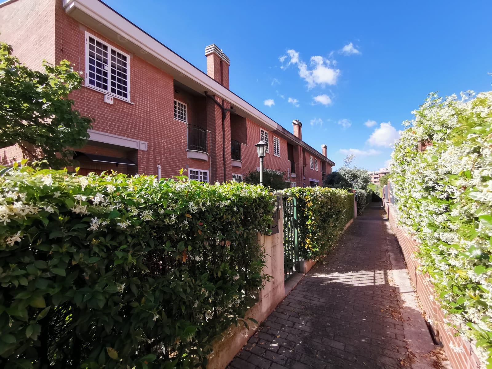 Ail Roma - Residenza Oriana Daniello”, foto laterale