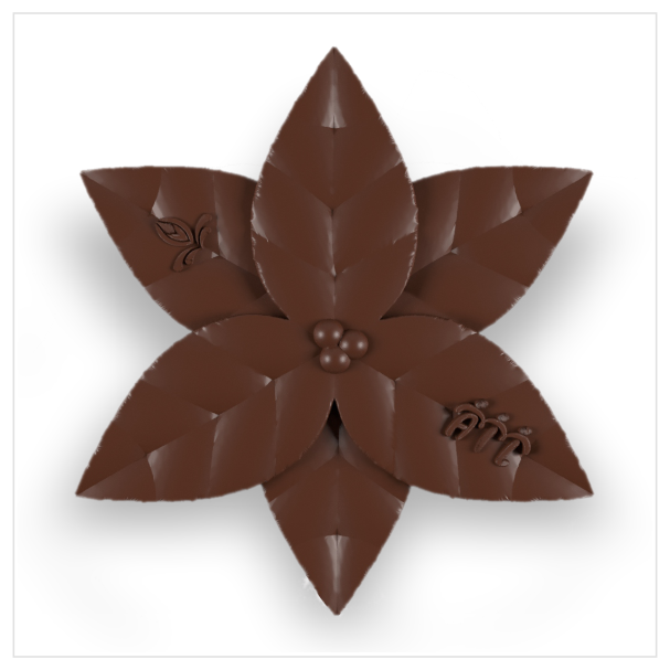 stelle_cioccolato_fondente_v4