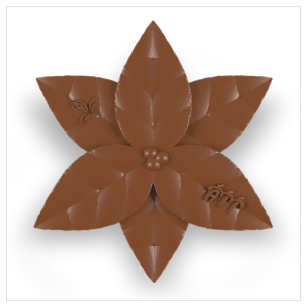 stelle_cioccolato_latte_v4