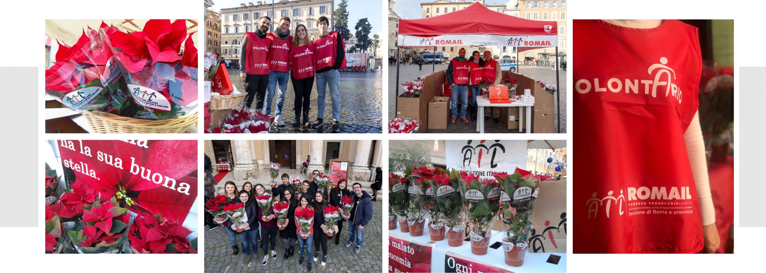 stelle_gruppo_web1