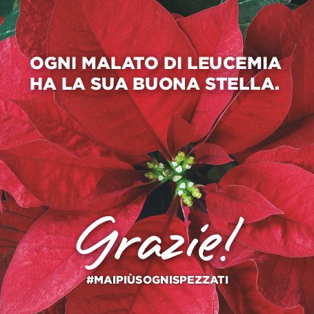 banner_grazie_stelle_mobile_2021