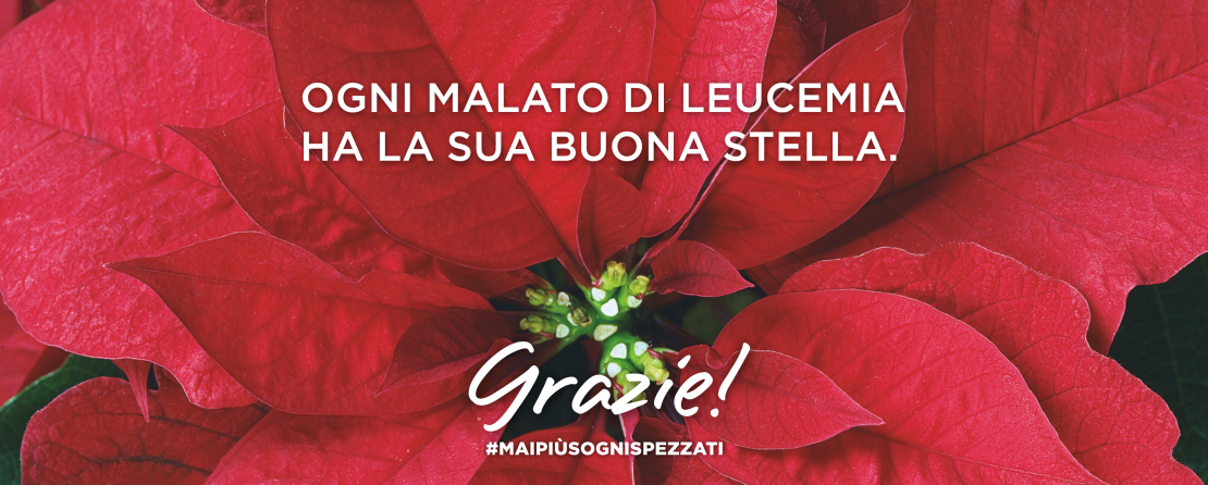 banner_v8_grazie_stelle_web_2021