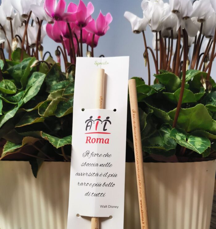 Matita Sprout - immagine 2