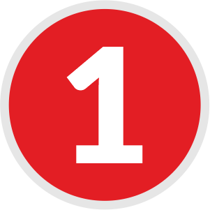 icon_punt_1