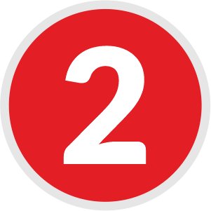 icon_punt_2