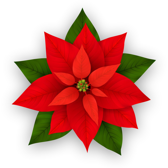 stella_png_web