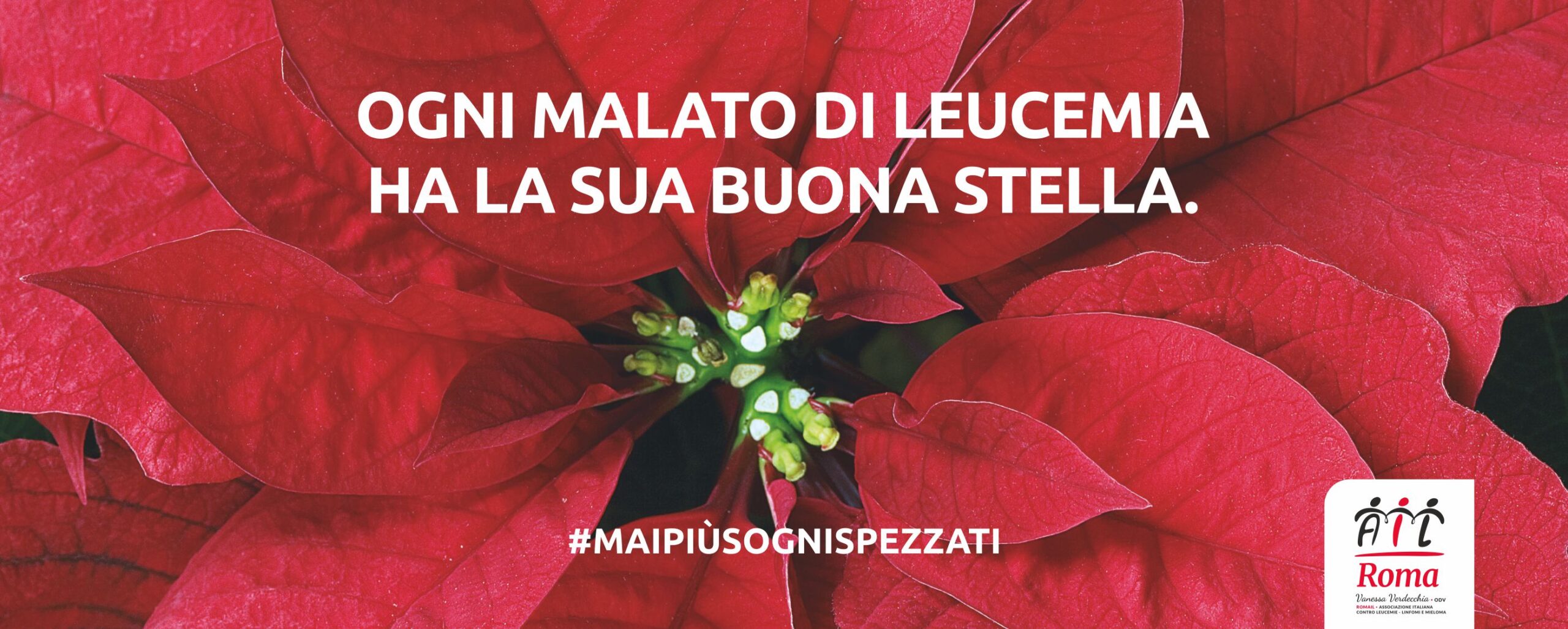 ban_v2_webpage_stelle_2023