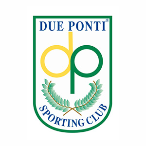 logo duePonti