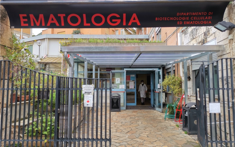 head_v2_mob_webpage_ematologia